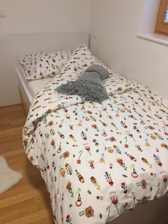 Apartma Pika Mojstrana Buitenkant foto